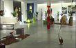 Exposition spéciale jardin 